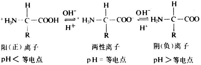 liangxing