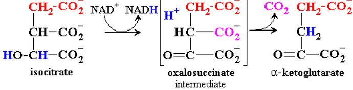 tca_step3