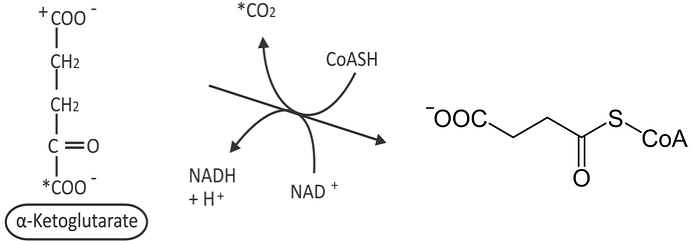 tca_step4