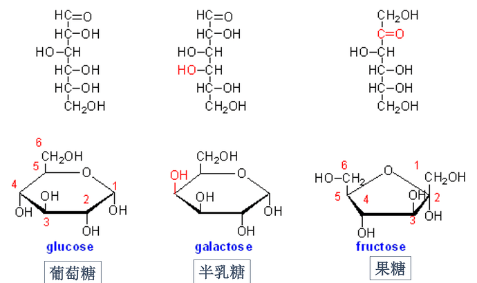 tang_fen_lei