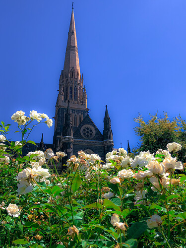 St Patrick’s Cathedral, Melbourne