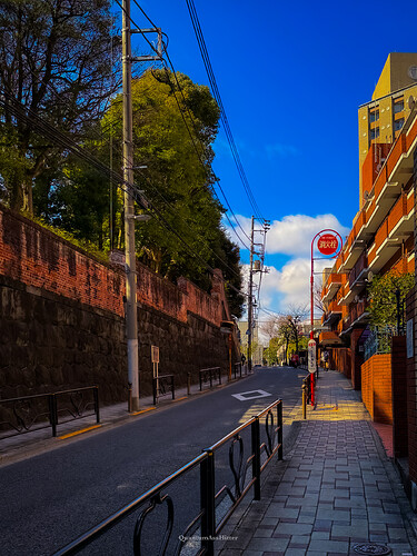 上野公園，東京