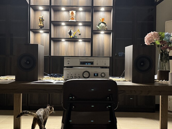 Denon+KEF