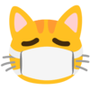 :mask_cat: