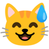 :sweat_smile_cat: