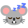 :sleeping_mouse: