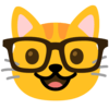 :nerd_face_cat: