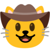 :face_with_cowboy_hat_cat: